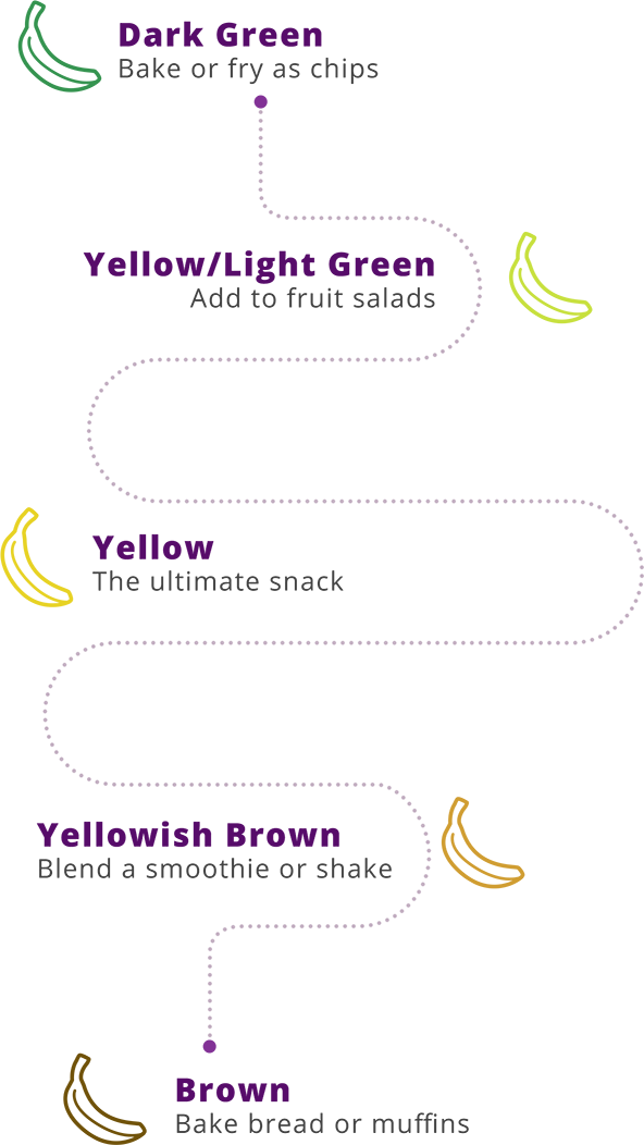banana_path